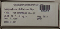 Image Associated With the Occurence